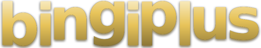 bingiplus logo